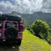 alisongrnewald - @alisongrnewald - TikTok