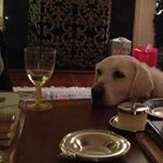 Allison Lanphier Haas - @lanphierhaas - Instagram