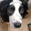 Alison Hagan - @alison.hagan6 - TikTok