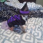 allisonhelms - @allisonhelms1832 - Instagram