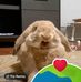 Allison Hensley - Facebook