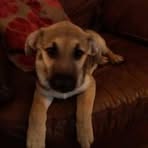 Allison Herbert - Facebook