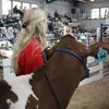 Allison Herrick - @allisonherrick - TikTok