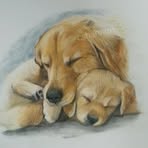 Allison Herring - Facebook