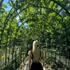 Alison Hiatt - @alisonhiatt - TikTok