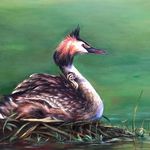 Allison Hillman - @allisonhillmanart - Instagram