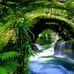 Allison Hintz - Facebook