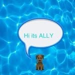 Allison Hiser - @a_l_h_2000 - Instagram