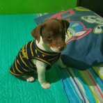Allison Hiser - Facebook
