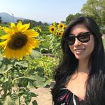 Allison Kay Fong - @allisonkayflowers - Instagram