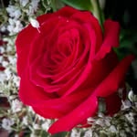 Allison Kee - @ajk_photography101 - Instagram