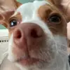 allisonkee1 - @allisonkee1 - TikTok