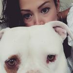 Allison Laury - @lauryallison - Instagram
