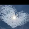 Allison Lim - @allison.lim59 - TikTok