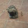 Hello - @allison_lindley12345 - TikTok
