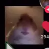 allisonlinthicum - @allison12775 - TikTok