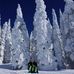 Alison Thomason Loggins - Facebook