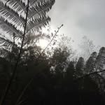 Allison Lu - @___allylu___ - Instagram