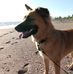 Allison Lutz - Facebook