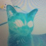Ali Mandel - @alison_mandel - Instagram