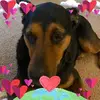 allisonmandelgiam - @allisonmandelgiam - TikTok