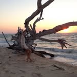Allison Matthews - @landmountgotitidis32 - Instagram