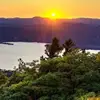 allisonmaynard2 - @allison.maynard6 - TikTok