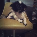 Janet Allison Maynard - @janet_allison_maynard - Instagram