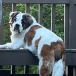 Allison McAndrew Calkins - @allymcalkins - Instagram
