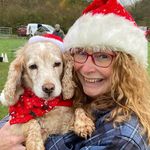 Alison McCallum - @hollieamy__dog - Instagram