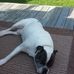 Allison Mccutcheon - Facebook
