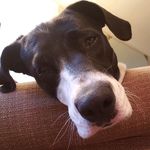 Allison McKay - @allison.mckay64 - Instagram