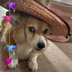 Allison Mckeever - @mckeeverallison - Instagram
