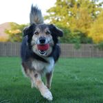 Allison Meier - @alliewandersart - Instagram