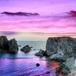 Allison Meier - @ameier80 - Instagram