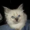 Alison Melvin208 - @alisonmelvin208 - TikTok