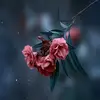Allison Monroe - @allison.monroe1 - TikTok