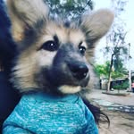 Allison Moraga - @lopezmprga - Instagram