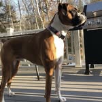 Allison French Moran - @allisonmoran1777 - Instagram