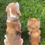 Alison Moriarty - @alison.mcgowan.3956 - Instagram