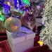 Allie Moriarty - Facebook