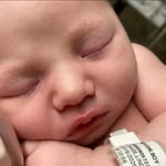 Alison Gillikin Moritz - @moritzalison - Instagram