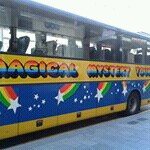 Alison Morley - @alison.morley.710 - Instagram