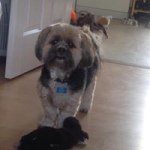 Alison Morley - @alison.morley - Instagram