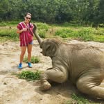 Alison Morley - @ali78m - Instagram
