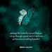 Allison Bartlett-Morley - Facebook