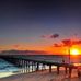Allison Moyle - Facebook