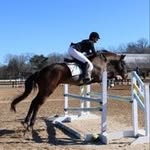 Allison Mudd - @equallison - Instagram