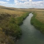 Allison Muddy Creek Ranch - @allisonmuddycreekranch - Instagram