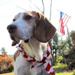 Allison Muller - @mr_bojangles2004 - Instagram